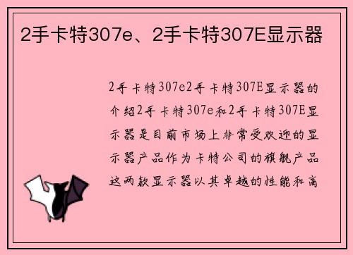 2手卡特307e、2手卡特307E显示器